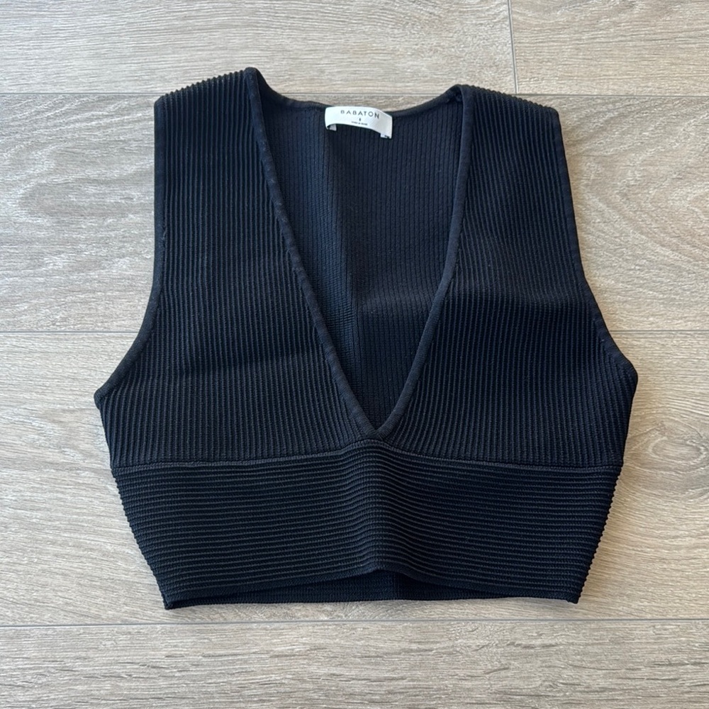 Aritzia Black Ribbed V-Neck Crop Top